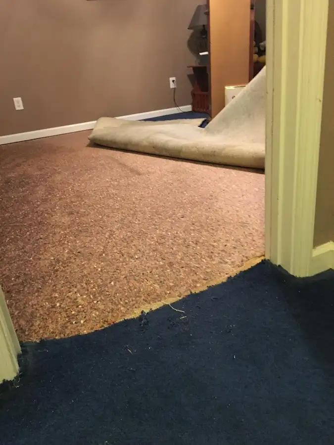 Carpet pad removal revealing water damage during Drying & Dehumidification in Fruita