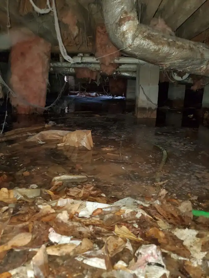 Crawl space flood assessment for Commercial Water Damage Restoration in Fruita